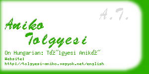 aniko tolgyesi business card